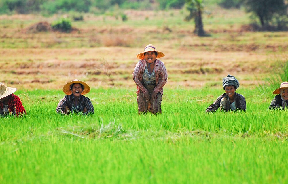 အာရှ၏ နောက်ဆုံး စားကျက်မြေ