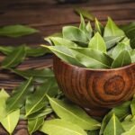 ကရဝေးရွက် ကို ဟင်းခတ် စားပေးသင့်တဲ့ အကြောင်းအရင်း