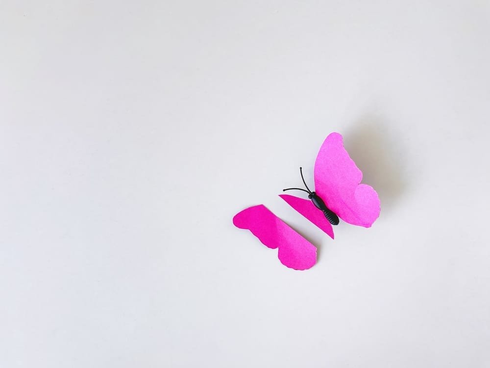 သားသားမီးမီးတို့ရဲ့ စိတ်ခံစားမှုဆိုင်ရာ ညှင်းပန်းနှိပ်စက်ခံရမှုကို သိရှိနားလည်ခြင်း