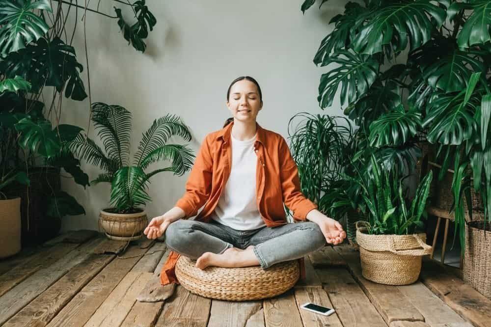 တရားထိုင်တာက ဉာဏ်ရည်ထက်မြက်စေမလား!