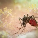 တရုတ်နိုင်ငံတွင် Chikungunya ဖြစ်ပွားမှု ၈,၀၀၀ ကျော်တွေ့ရှိ