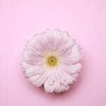 မိန်းမကိုယ် အနံ့ဆိုးကင်းစေဖို့