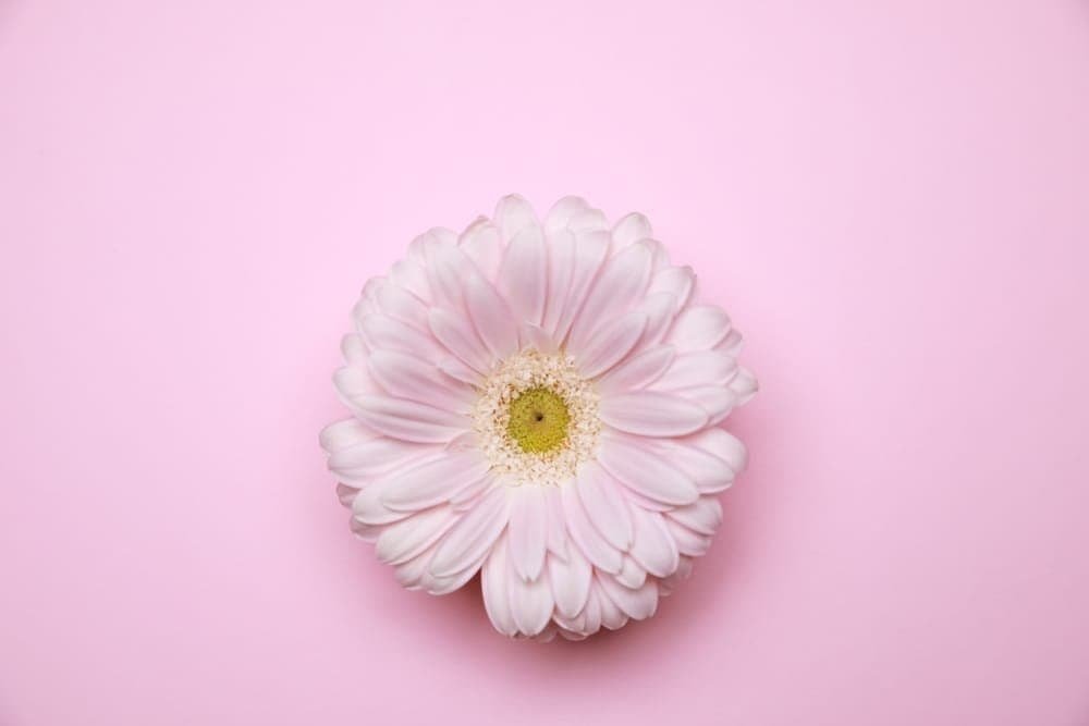 မိန်းမကိုယ် အနံ့ဆိုးကင်းစေဖို့