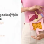 အစာအိမ်အူလမ်းကြောင်း မကျန်းမာဘူးဆိုတဲ့ သတိပေးလက္ခဏာများ