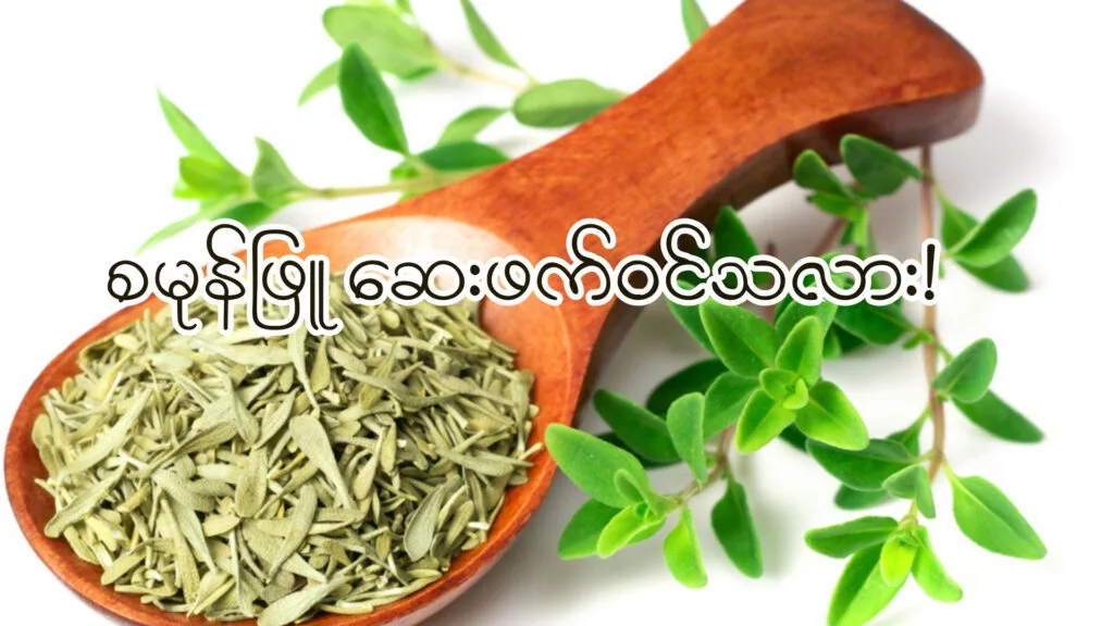 စမုန်ဖြူ (Thyme)