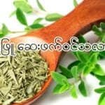 စမုန်ဖြူ (Thyme)