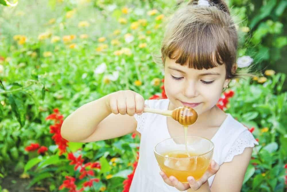 ဘေဘီလေးတွေကို ဘယ်အချိန်မှာ ပျားရည် စကျွေးလို့ရမလဲ!