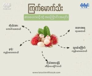 ကြက်မောက်သီးရဲ့ ကျန်းမာရေး အာနိသင်