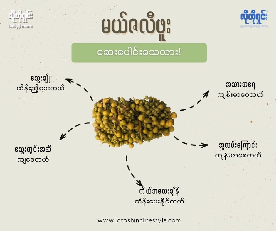 မယ်ဇလီဖူး ကျန်းမာရေး ကောင်းစေသလား!