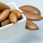 ကမ်းဇော်ဆီ ဆေးဖက်ဝင်ပုံ