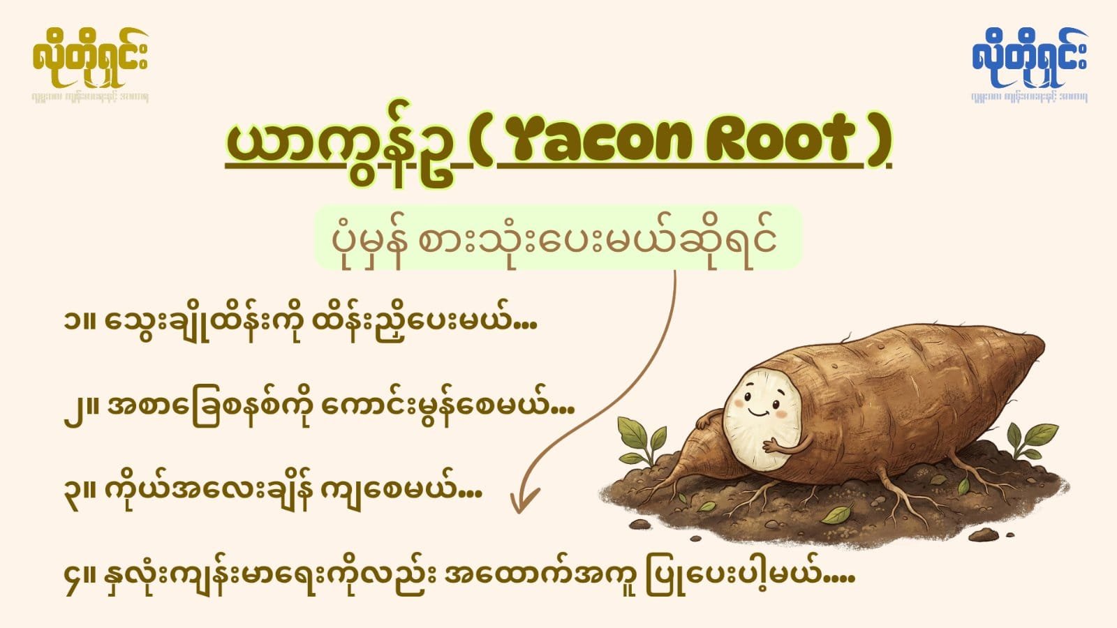 ယာကွန်ဥ (Yacon) သွေးတိုးကျစေရုံပဲလား!