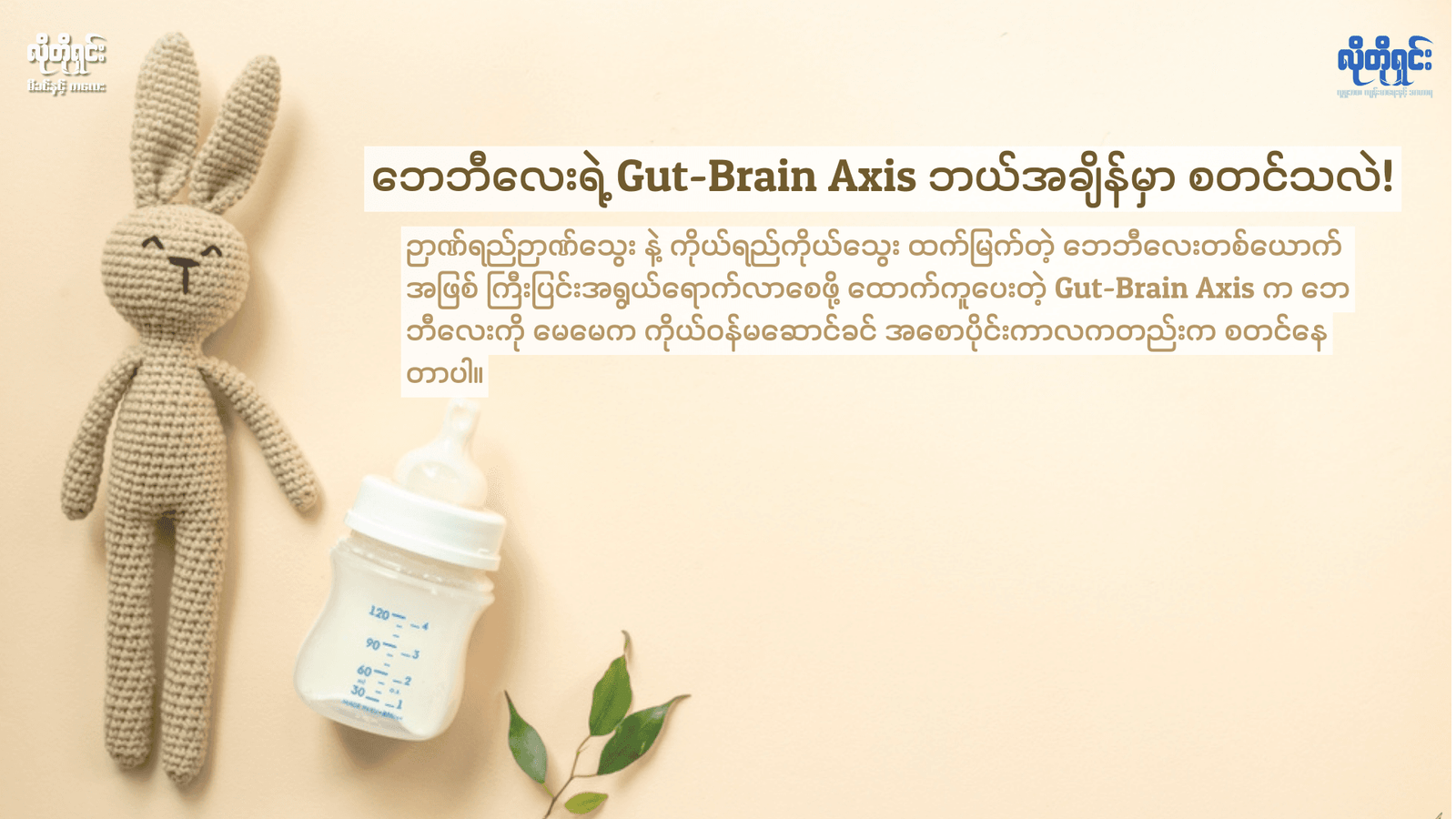 ဘေဘီလေးရဲ့ Gut-Brain Axis က ဘယ်အချိန်မှာ စတင်တယ်ဆိုတာကို သိပါရဲ့လား!