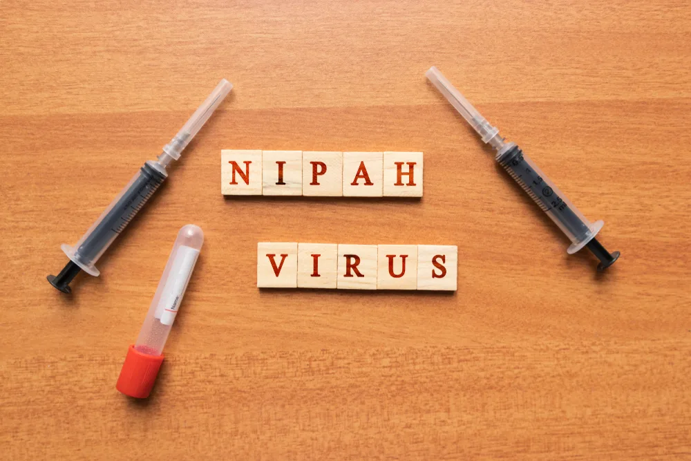 နီပါဗိုင်းရပ်စ် (Nipah virus ) ဘာတွေသိထားဖို့ လိုမလဲ!
