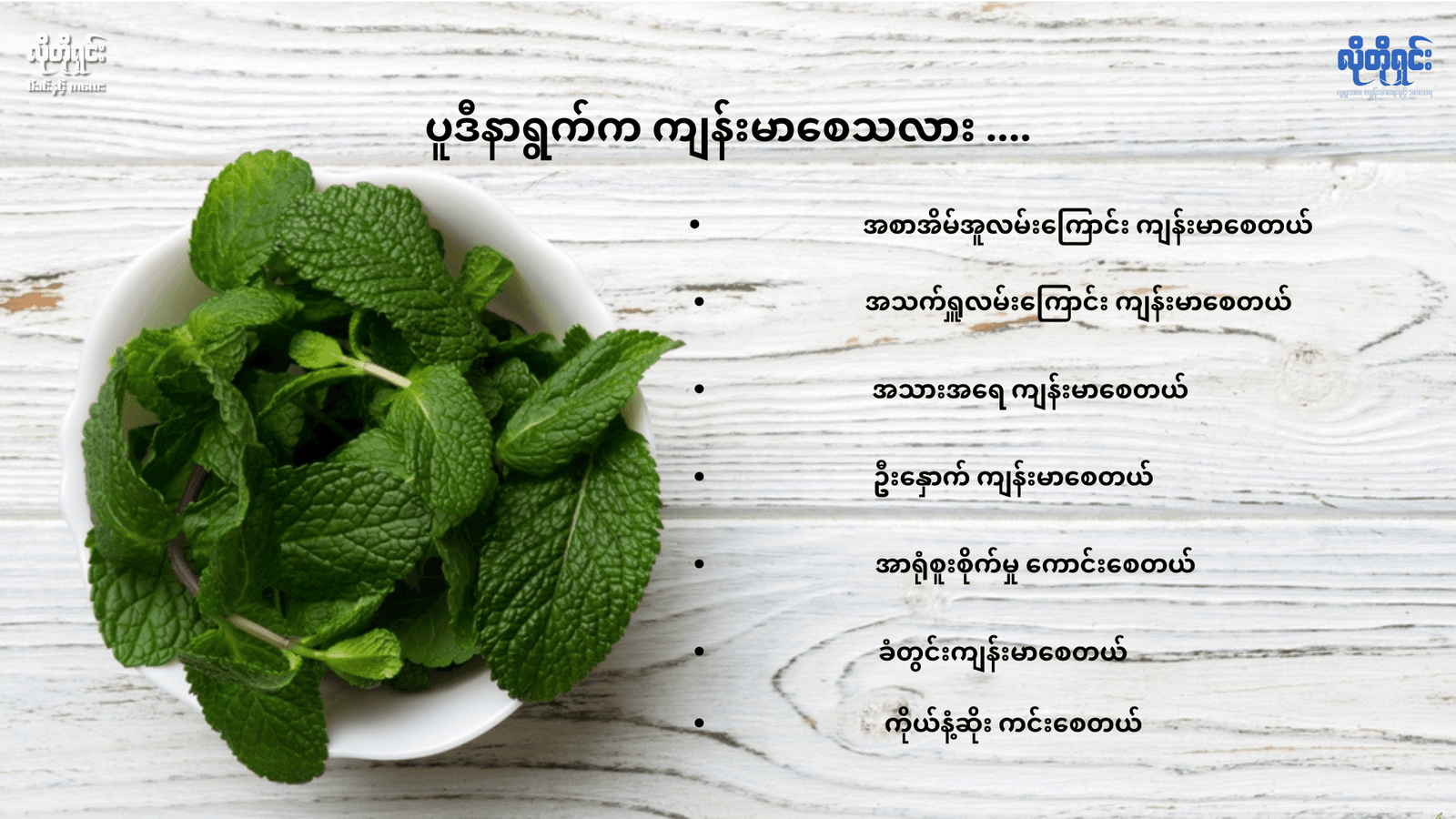 ပူဒီနာ (Perpermint Leaves) 