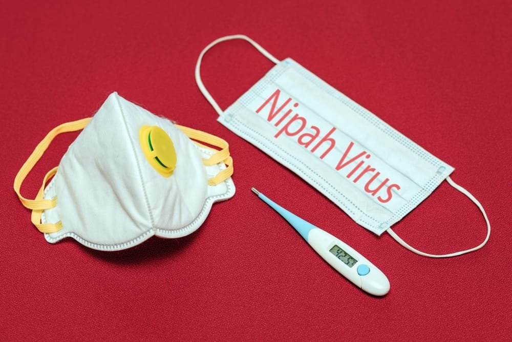 အာရှတခွင်မှာ သတိထားစောင့်ကြည့်လာရတဲ့ နီပါဗိုင်းရပ်စ် (Nipha Virus)