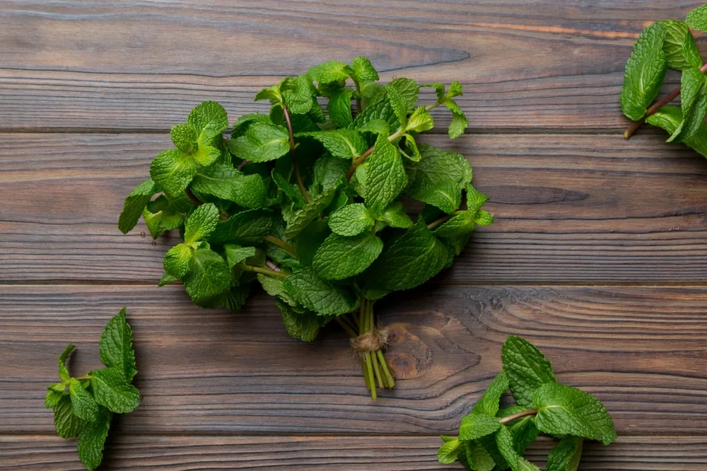 ပူဒီနာ (Perpermint Leaves)