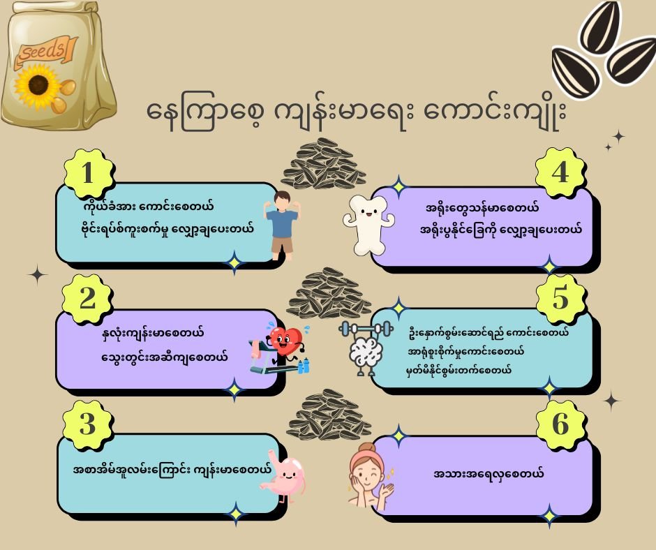 နေကြာစေ့ ကျန်းမာရေးကောင်းကျိုးများသလား!